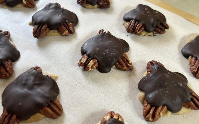 Chocolate Turtles