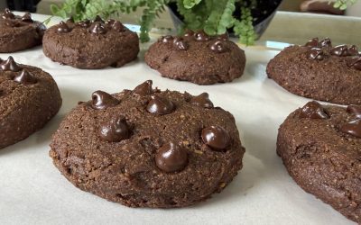 Wholesome Chocolate Cookies