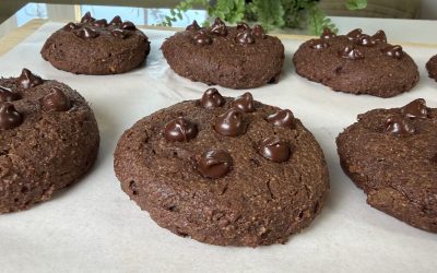 Wholesome Chocolate Cookies